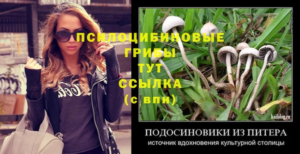 дурь Костерёво