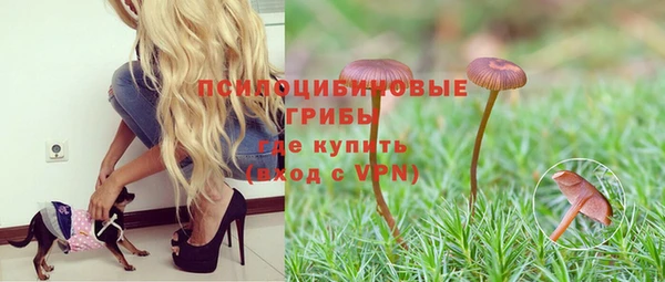 дурь Костерёво