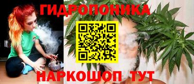 скорость Кингисепп