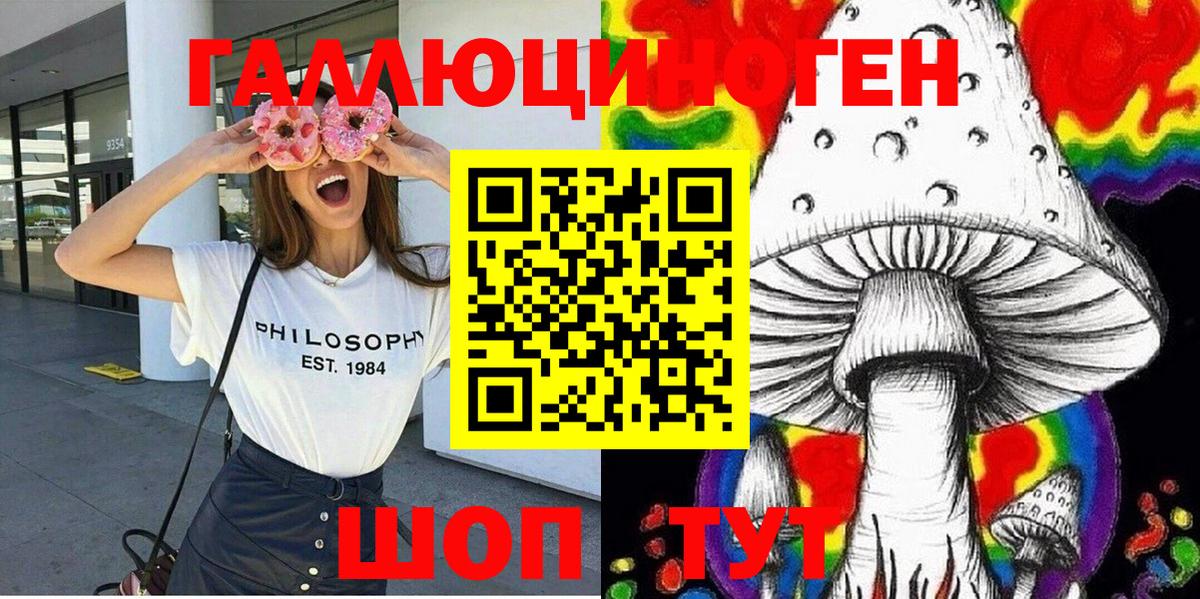 Галлюциногенные грибы Psilocybe  Вход с VPN  Чернушка 
