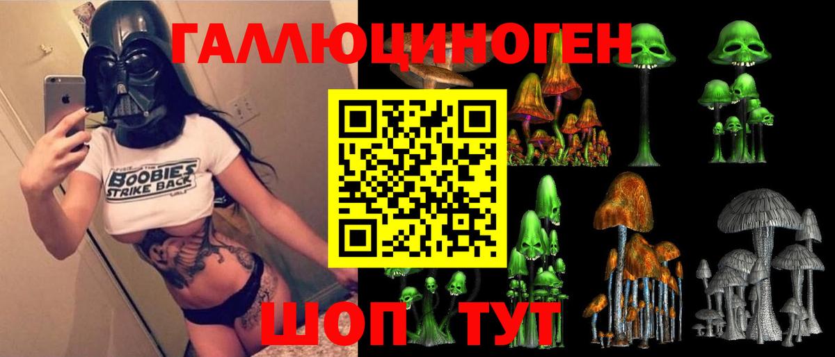 Галлюциногенные грибы GOLDEN TEACHER Чернушка