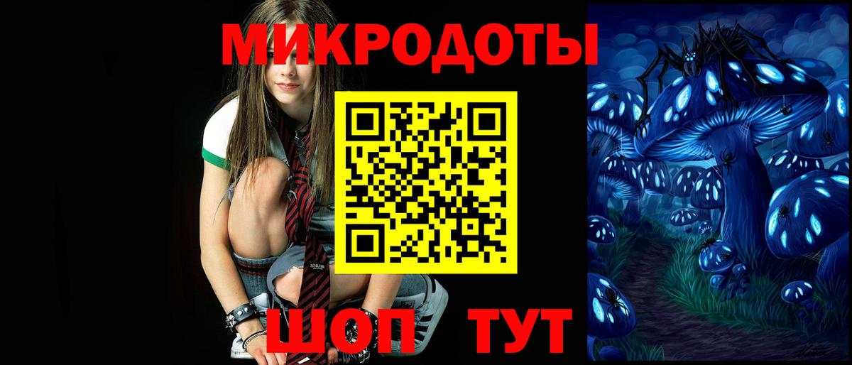 Псилоцибиновые грибы Psilocybe Чернушка